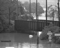 A view looking down into the Bottleneck on the West Shore.