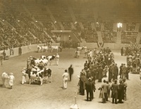 Farm Show Cattle Judging, 1940s