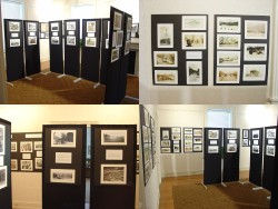 New Deal Photograph Exhibit